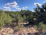 300 Onion Creek Lane - Photo 1