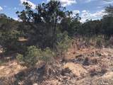 300 Onion Creek Lane - Photo 5