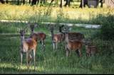 Lot 119 Miller Drive - Photo 15