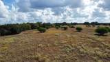 TBD3 Farm To Market Road 532 - Photo 6
