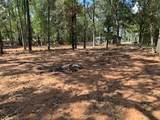 33014 Octavia Drive - Photo 6