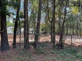 33014 Octavia Drive - Photo 7