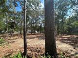 33014 Octavia Drive - Photo 8