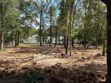 33014 Octavia Drive - Photo 9