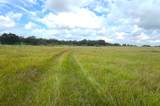 TBD County Road 217 - Photo 10