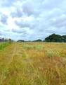 TBD County Road 217 - Photo 23