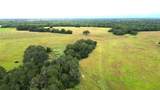 TBD County Road 217 - Photo 4