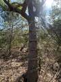 Lot 2 County Road 14 - Photo 22