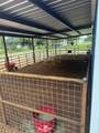 24954 Bailey Grove Road - Photo 3