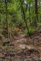 Tract 4 Sun Oil Road - Photo 18