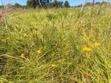 405 County Road 3000 - Photo 28