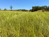 405 County Road 3000 - Photo 36