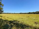 405 County Road 3000 - Photo 6