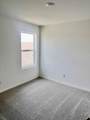 29023 Great Flatland Trail - Photo 13