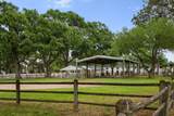 10410 Pitcataway Drive - Photo 46