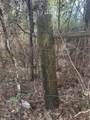 TBD Road 3813 - Photo 11