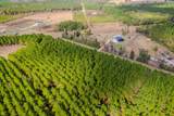 LOT 6 Fm 943 - Photo 4