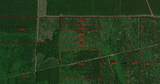 TBD Farm To Market 770 East Of Tx - Photo 3
