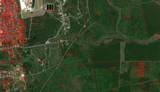 TBD Farm To Market 770 East Of Tx - Photo 4