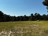 Tract 3 Trinity Lady Park Road - Photo 2