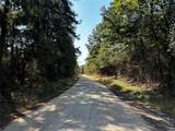 Tract 3 Trinity Lady Park Road - Photo 5