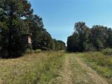Tract 3 Trinity Lady Park Road - Photo 6