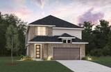 21419 Gazania Daisy Lane - Photo 1
