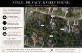 27015 Hidden Grove Landing Drive - Photo 42