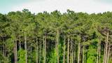 10-27-23 Lonestar Road - Photo 10