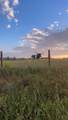2525 Meyersville Road - Photo 24