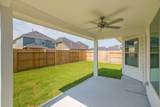 10626 Whitejacket Drive - Photo 13