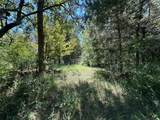 TBD Tract 2 Cr 481 - Photo 14