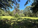 TBD Tract 2 Cr 481 - Photo 4