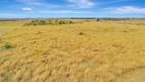 730 County Road 227 - Photo 11