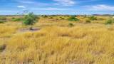 730 County Road 227 - Photo 5