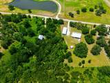 11 Acres County Road 436 - Photo 5