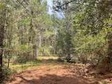 Lot 2B & 2C Fuller Springs Drive - Photo 4