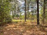 Lot 2B & 2C Fuller Springs Drive - Photo 5
