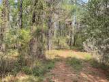 Lot 2B & 2C Fuller Springs Drive - Photo 6