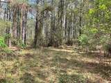 Lot 2B & 2C Fuller Springs Drive - Photo 8