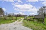 34520 Fulshear Farms Road - Photo 11