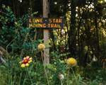 TBD-38-16 Branding Iron Road - Photo 4