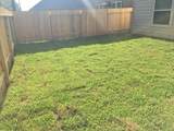 11911 Pia Drive - Photo 2