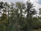 TBD Pin Tail Cove - Photo 10