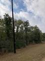 TBD Pin Tail Cove - Photo 11