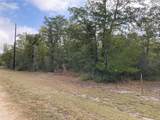 TBD Pin Tail Cove - Photo 6