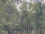 TBD Pin Tail Cove - Photo 8