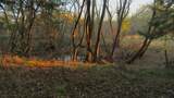 TBD County Road 4736 - Photo 14
