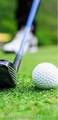 21877 Golden Putt Drive - Photo 14