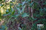 00 Fm 363 - Photo 18